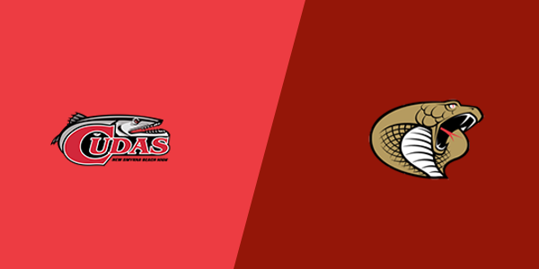Match Thumbnail