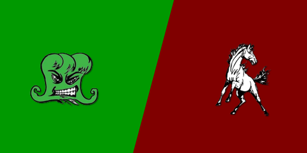 Narrows High School vs. Eastern Montgomery High School