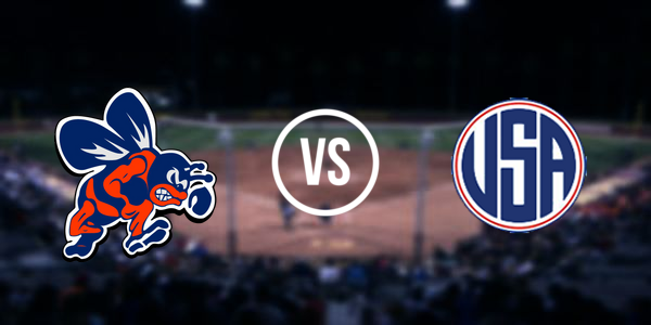 Bridgman vs Unionville-Sebewaing