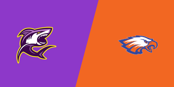 Match Thumbnail