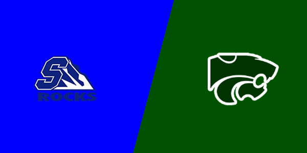 Salem High School vs. Novi High School