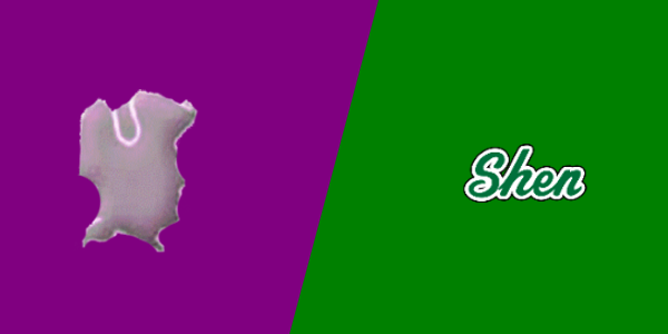 Johnstown Senior High School vs. Shenendehowa High School