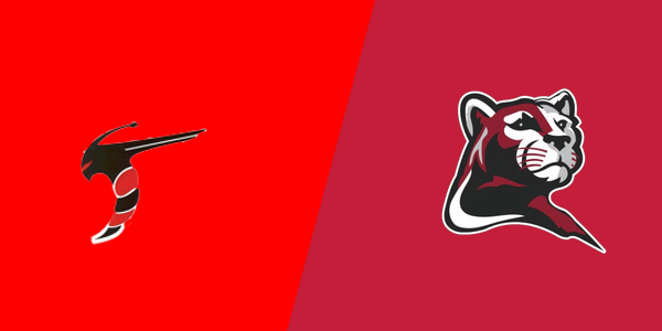 Match Thumbnail