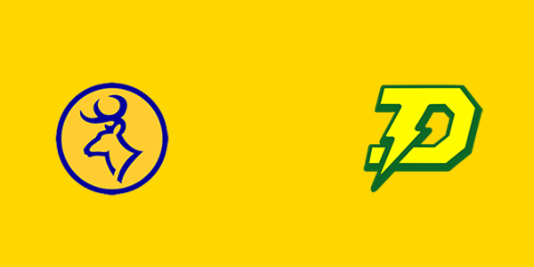 Roscommon High School vs. H. H. Dow High School
