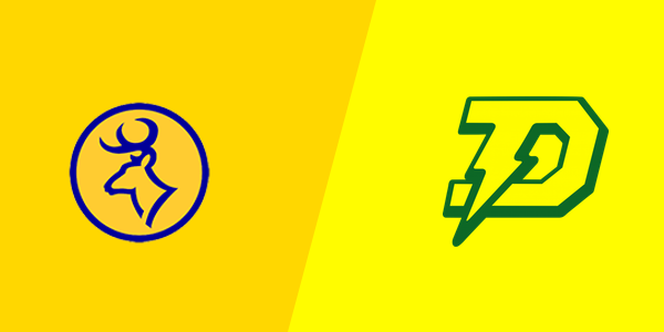Roscommon High School vs. H. H. Dow High School