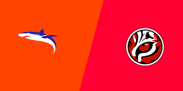 Match Thumbnail
