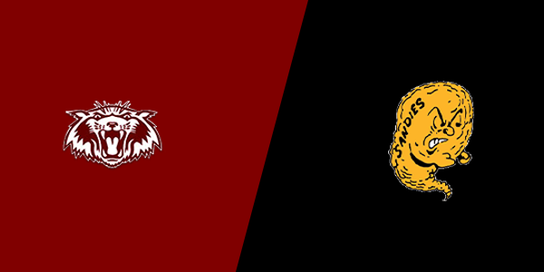 Match Thumbnail