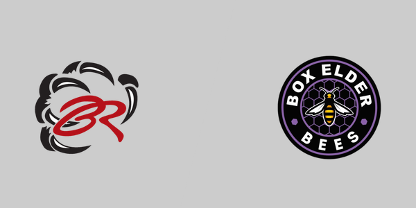 Bear River High School vs. Box Elder High School