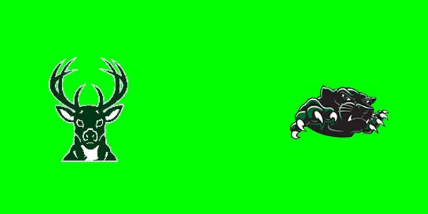 Pine River Area High School vs. Hesperia Community High School