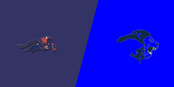 Match Thumbnail