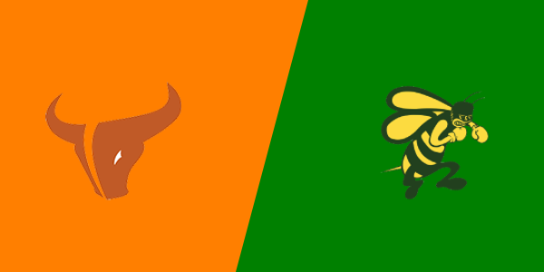 Pueblo County vs Mead