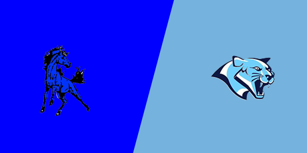 Buffalo Lake-Hector High School vs. Cedar Mountain Schools