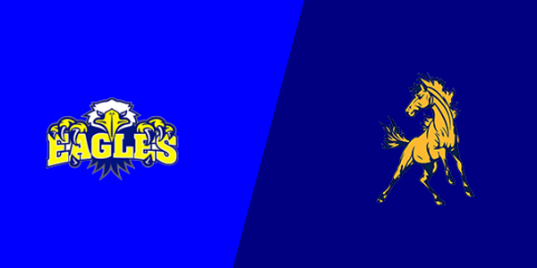Stephenson High School vs. Bark River-Harris High School