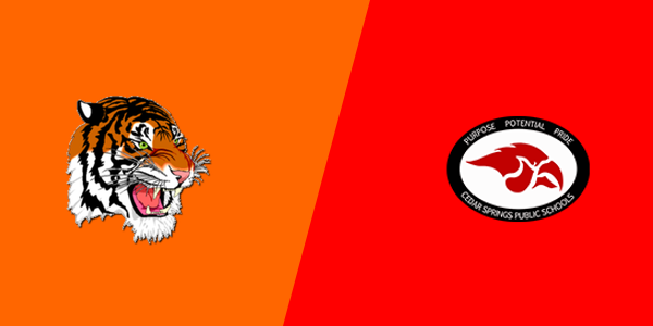 Benton Harbor High School vs. Cedar Springs High School
