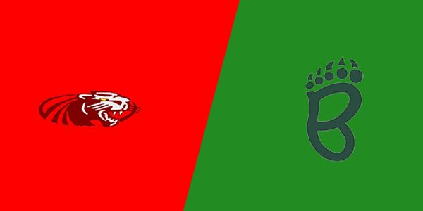 Henry-Senachwine High School vs. St. Bede Academy
