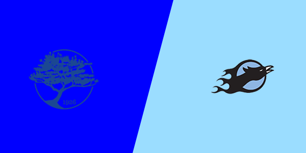 Match Thumbnail