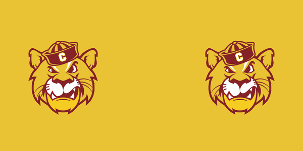 Capital High School