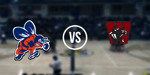 Watervliet High School vs. Bridgman High School