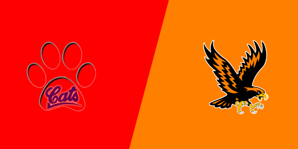Match Thumbnail
