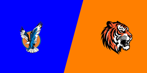Vienna High School vs. Herrin High School
