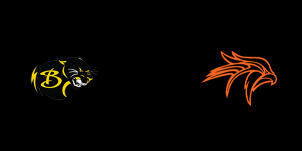 Baldwin High School vs. Fennville High School