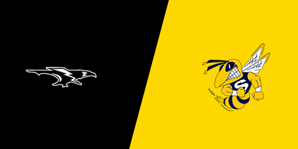 Edsel Ford High School vs. Saline High School