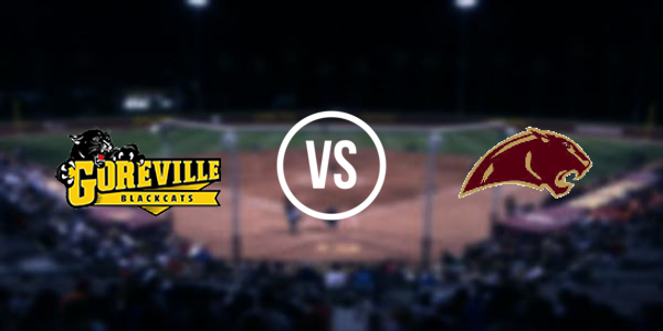 Goreville vs Leroy