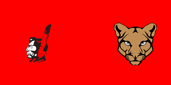 Tawas Area High School vs. Crossroads Charter Academy