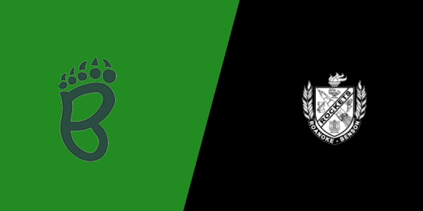 St. Bede Academy vs. Roanoke-Benson High School