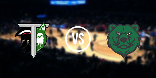 Twinfield Union School vs. Danville School
