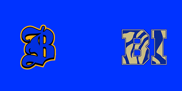 Brunswick High School vs. Bradwell Institute