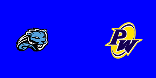 Lansing Catholic School vs. Pewamo-Westphalia High School