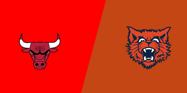 Chicago Bulls Academy vs. Evanston Township High School