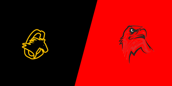 Match Thumbnail