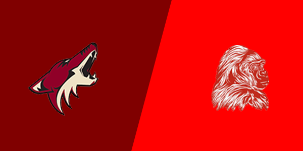 Match Thumbnail
