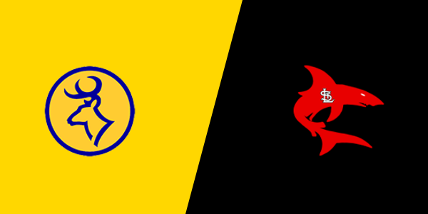 Roscommon High School vs. St. Louis High School