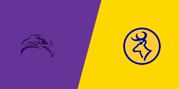 Farwell High School vs. Roscommon High School