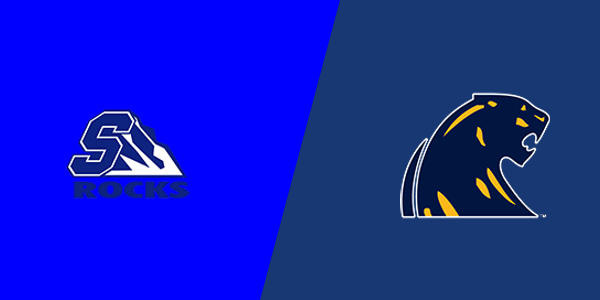 Salem High School vs. DeWitt High School