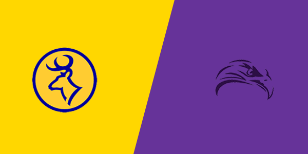 Roscommon High School vs. Farwell High School