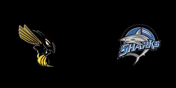 Blake High School vs. Riverview High School - Riverview