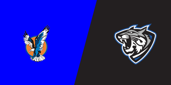 Vienna High School vs. Anna-Jonesboro High School