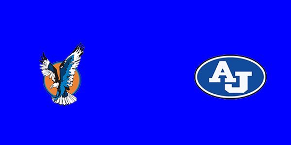 Vienna High School vs. Anna-Jonesboro High School
