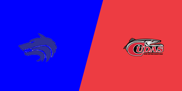 Match Thumbnail