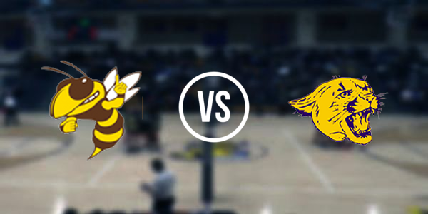 Pellston High School vs. Frankfort High School