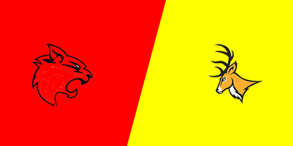 Match Thumbnail