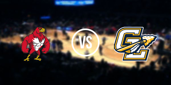 Grass Lake High School vs Vandercook Lake High School