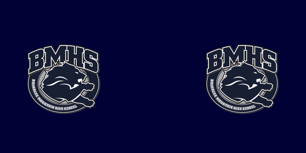 Brindlee Mountain High School
