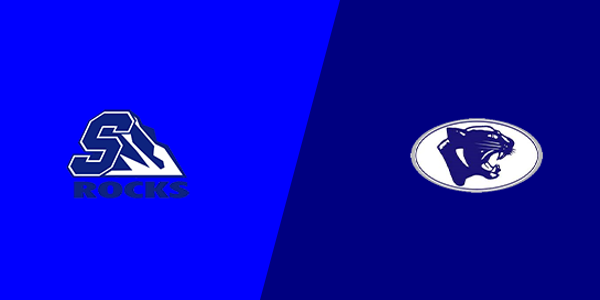 Salem High School vs. Mt Morris High School
