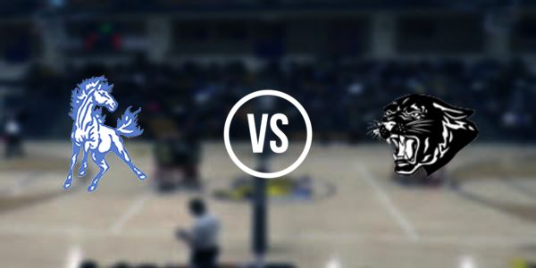 Brimley Area High School vs Pickford High School