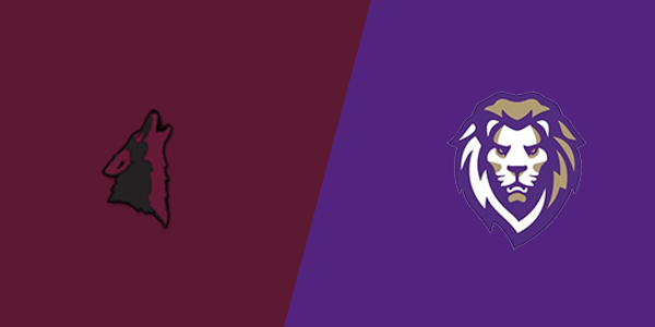 Match Thumbnail